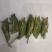 禾虾