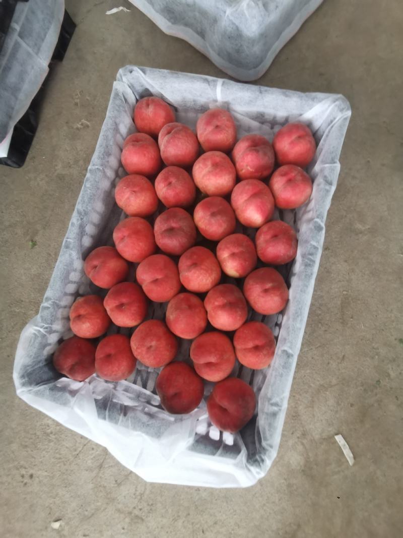 中桃九，红桃，早熟有名