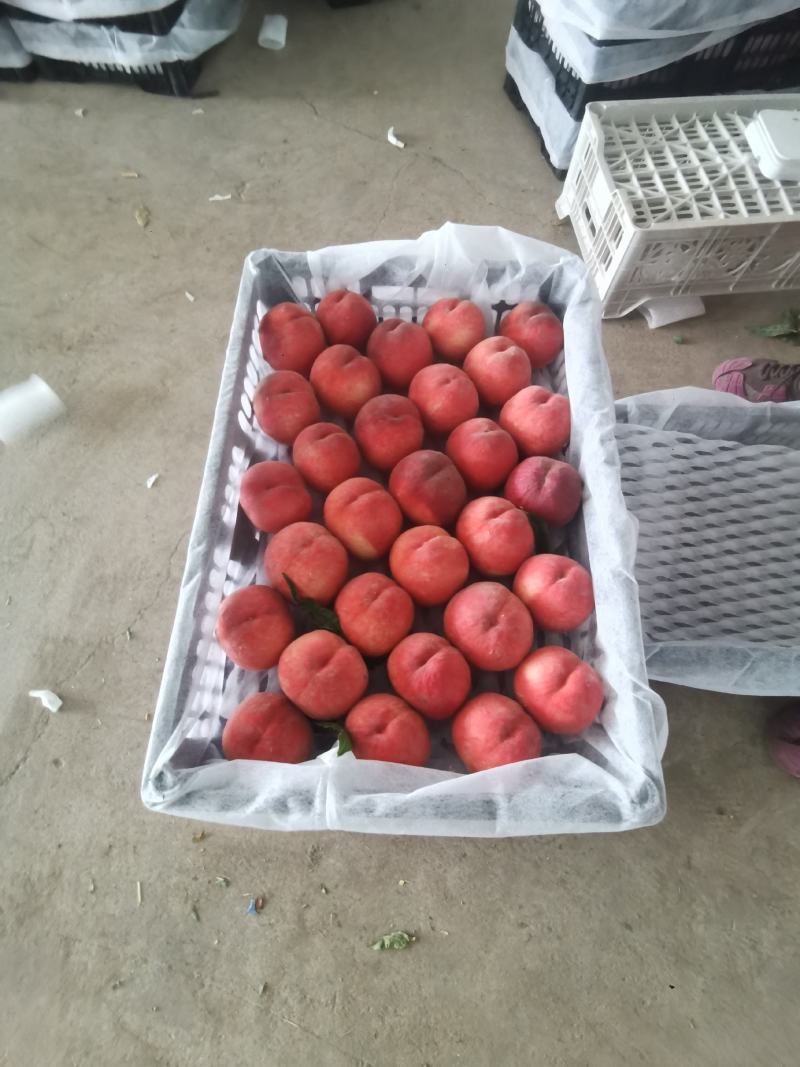 中桃九，红桃，早熟有名