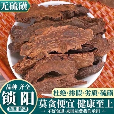 内蒙金锁阳正品泡茶泡酒沙漠人参锁阳片特级真品无硫锁阳