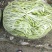 无筋豆王
