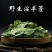 淫羊霍中药材正宗野生淫羊藿统货全叶规格齐全假一赔十