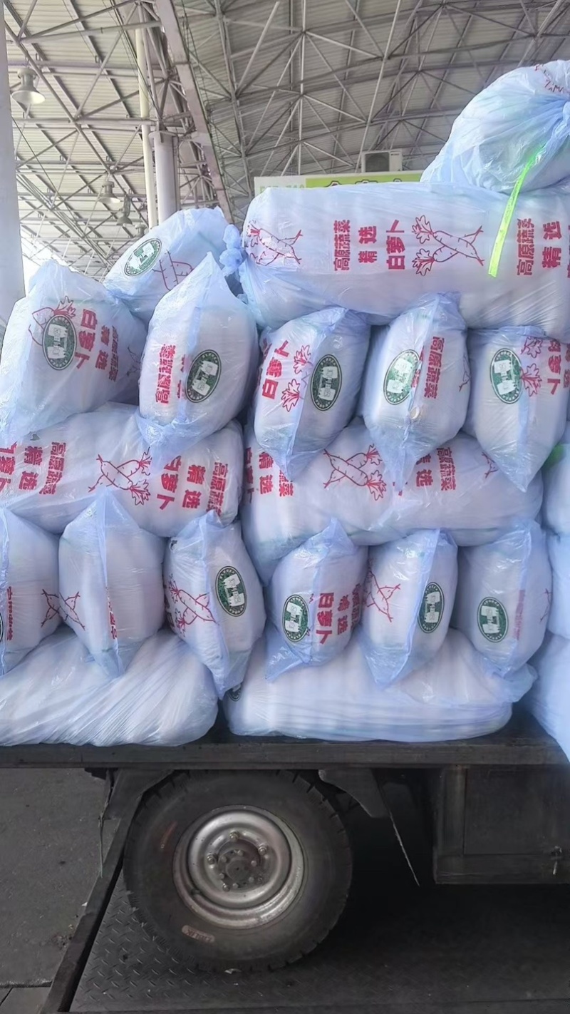 专业销售白萝卜产地直发价格优惠