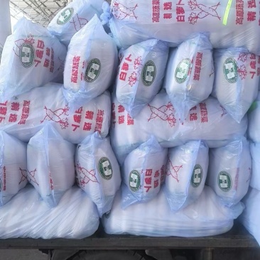 专业销售白萝卜产地直发价格优惠