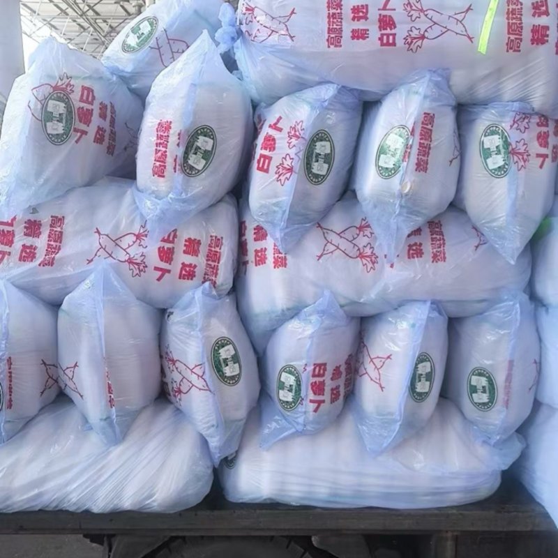 专业销售白萝卜产地直发价格优惠