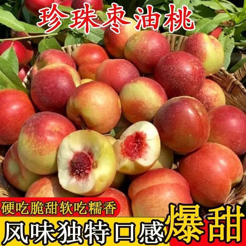离核珍珠枣油桃上市，产地直发全国，接【市场、电商、零售】