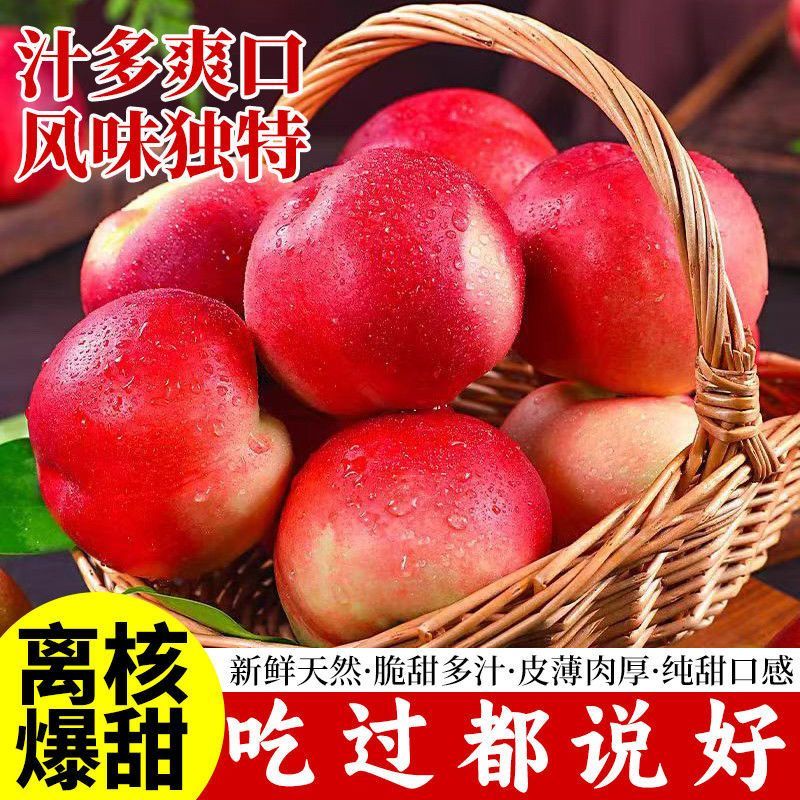 离核珍珠枣油桃上市，产地直发全国，接【市场、电商、零售】