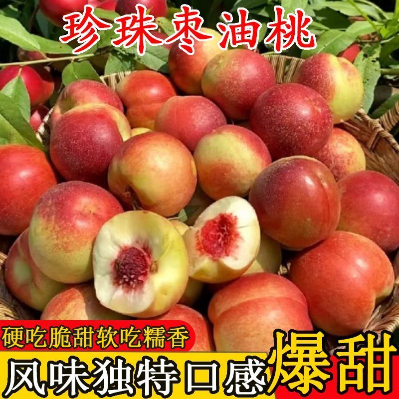 离核珍珠枣油桃上市，产地直发全国，接【市场、电商、零售】