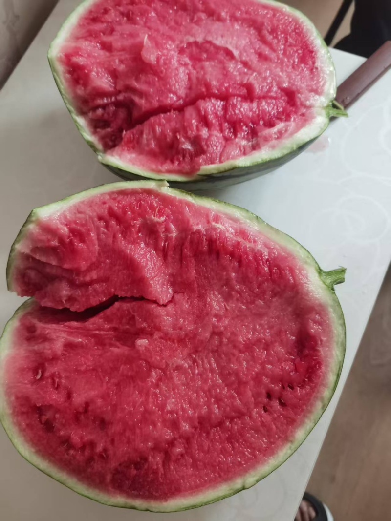 陕西渭南产地一手货源