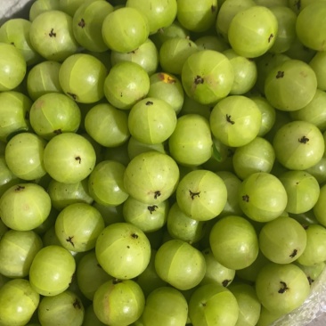 特大特甜油甘果
