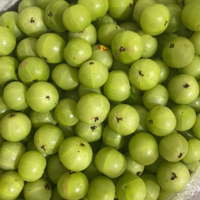 特大特甜油甘果