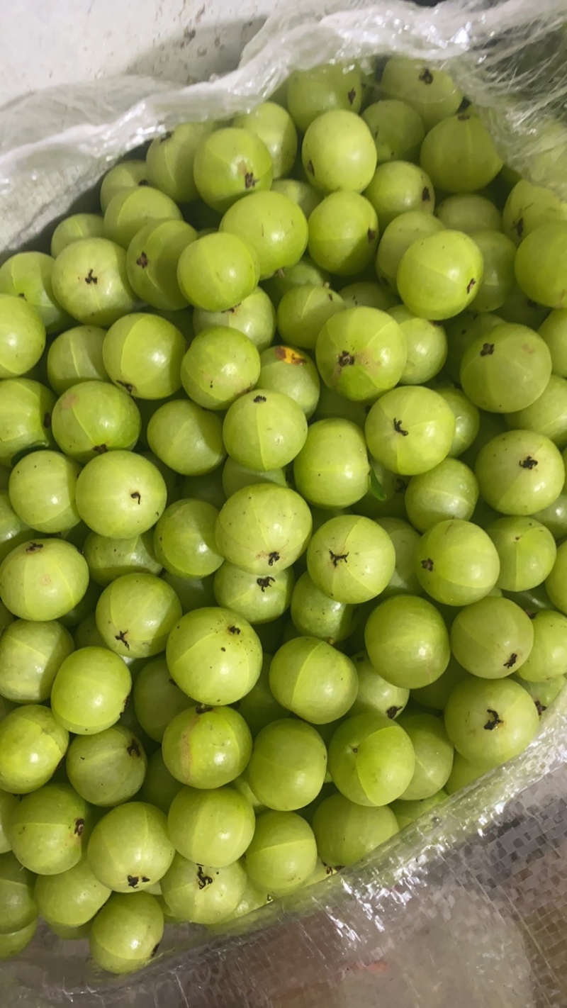 特大特甜油甘果