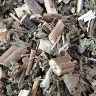 中药材稀签草