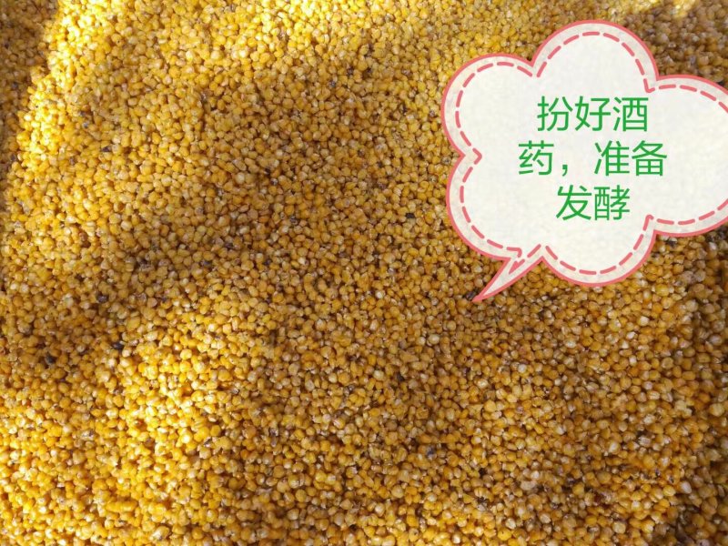 【推荐】云南自制纯粮酒/包装酒/六瓶装/视频看货