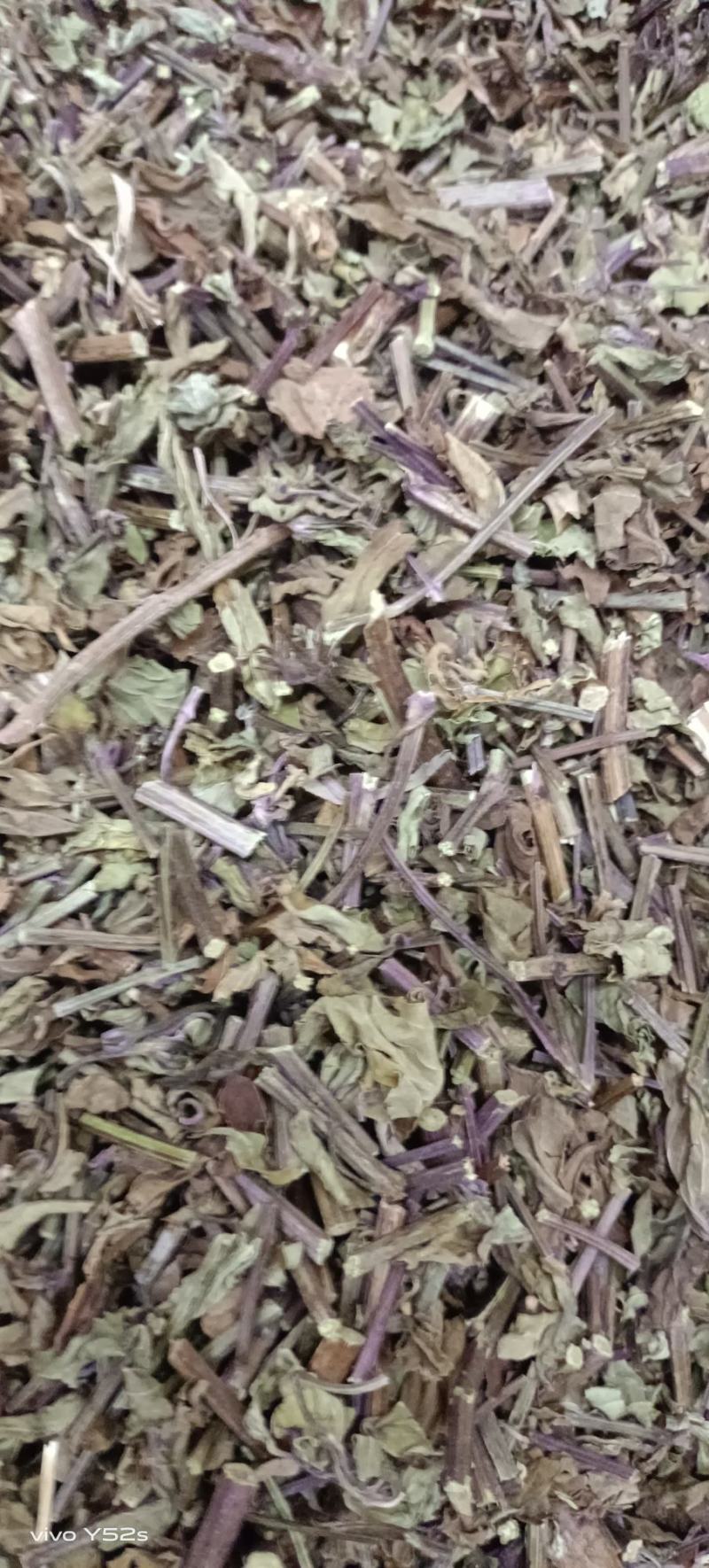 猫须草贤茶各种中草药可以代抓配方实体加平台优势很明显