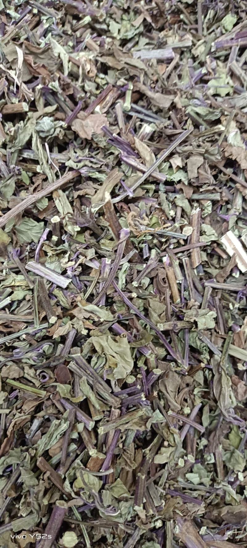 猫须草贤茶各种中草药可以代抓配方实体加平台优势很明显