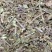 猫须草贤茶各种中草药可以代抓配方实体加平台优势很明显