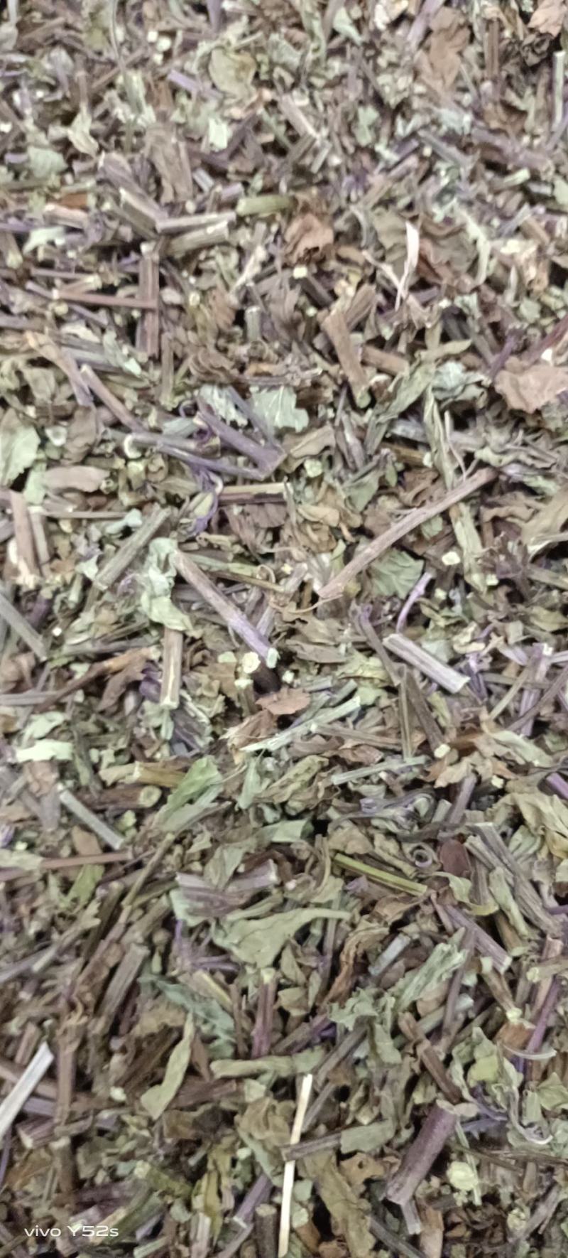 猫须草贤茶各种中草药可以代抓配方实体加平台优势很明显