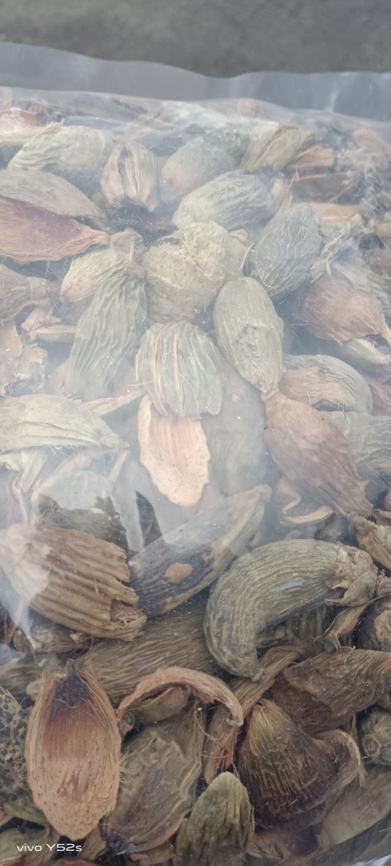 大腹皮各种中药材冷背药材，名贵药材，代加工打粉压片制丸