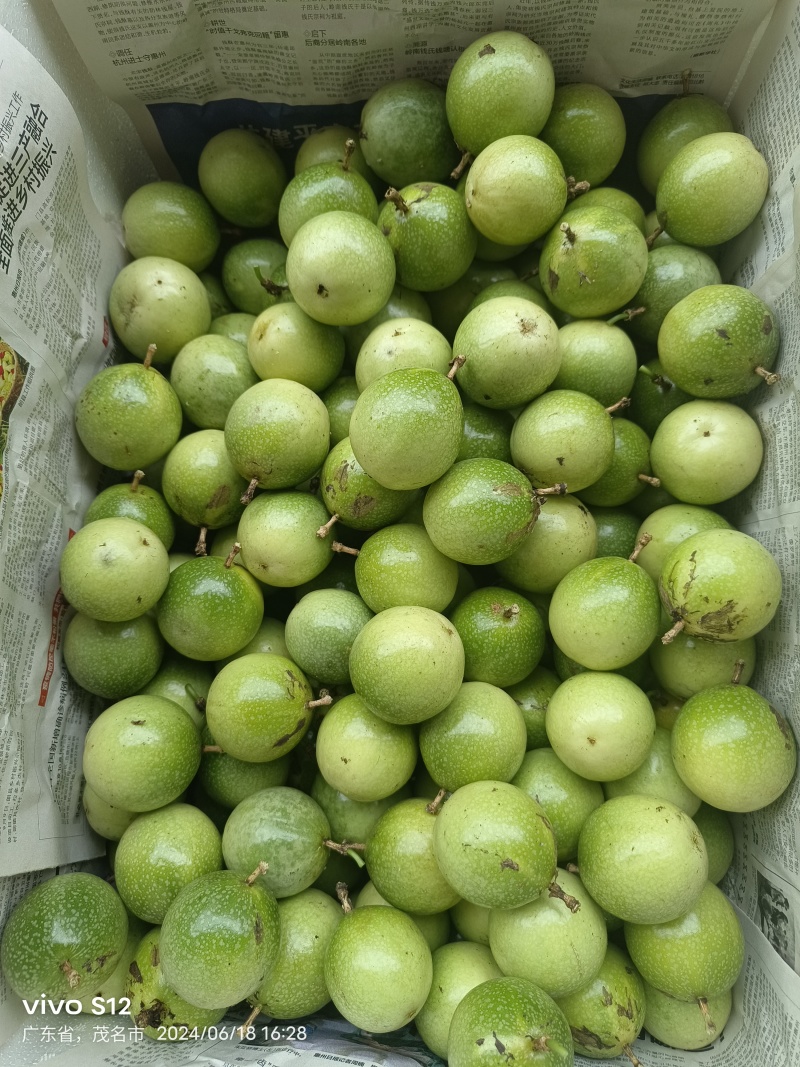 黄金百香果