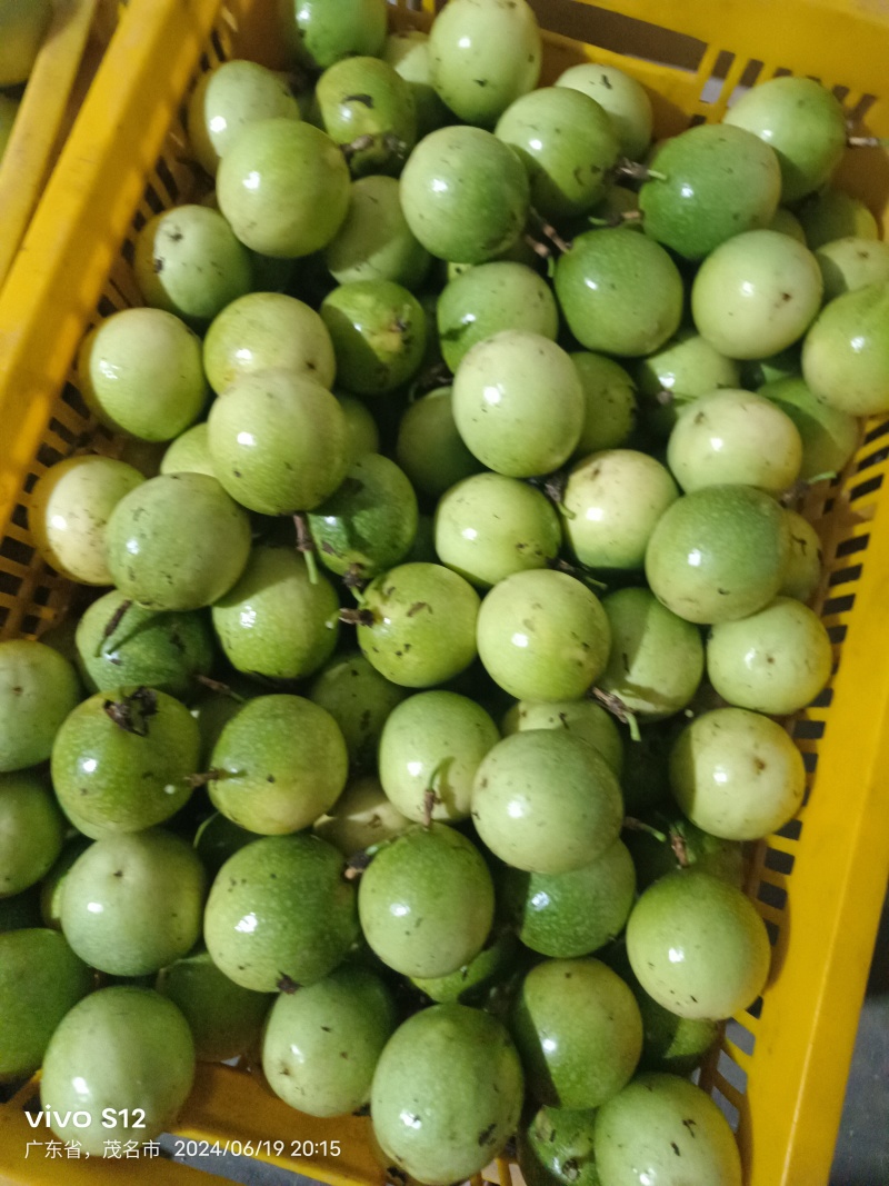 黄金百香果