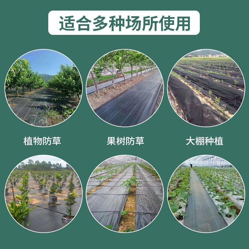优质防草布除草布农业果园大棚园艺苗圃花卉防草地步