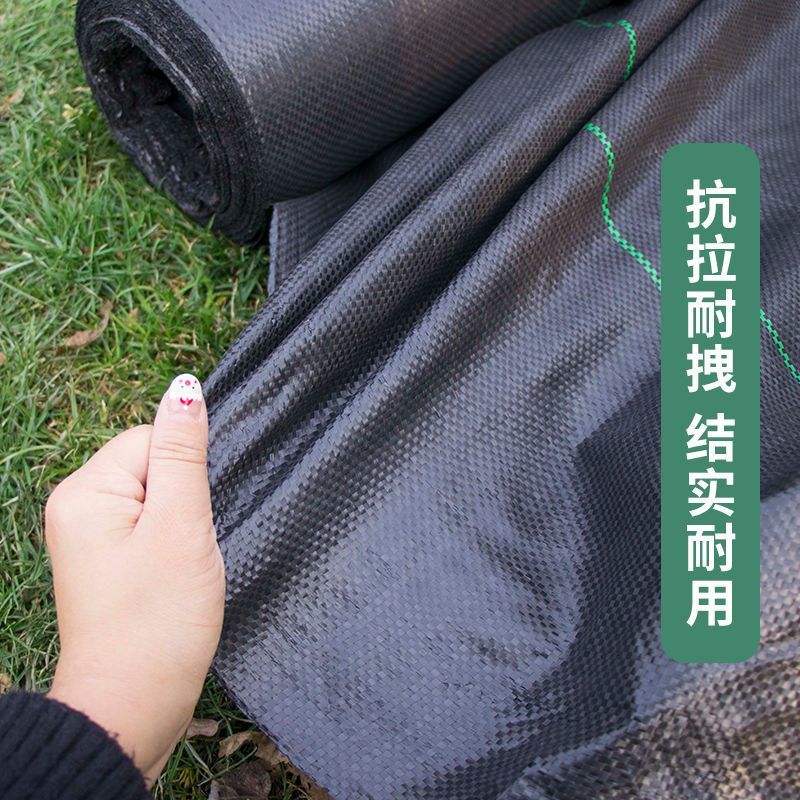 优质防草布除草布农业果园大棚园艺苗圃花卉防草地步