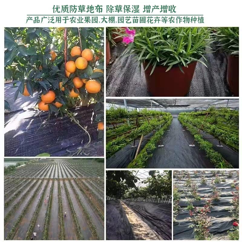 优质防草布除草布农业果园大棚园艺苗圃花卉防草地步