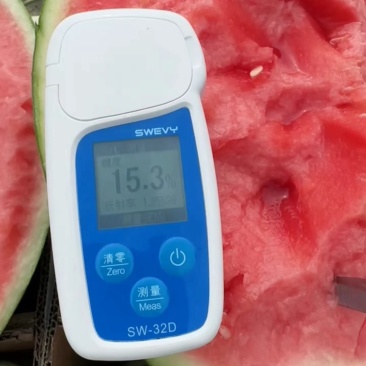 宁夏西瓜🍉，金花6号，薄皮红瓤，脆甜可口，糖分12+，