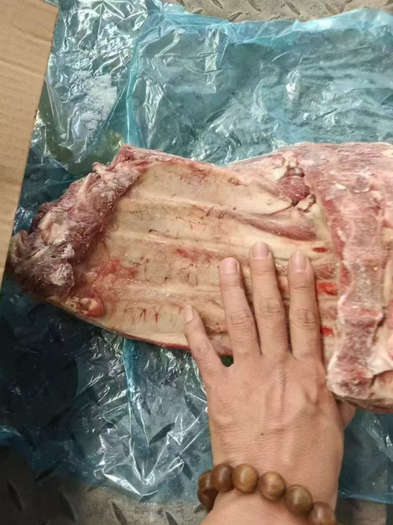 肥猪去颈前排规格5-8片数量，5吨