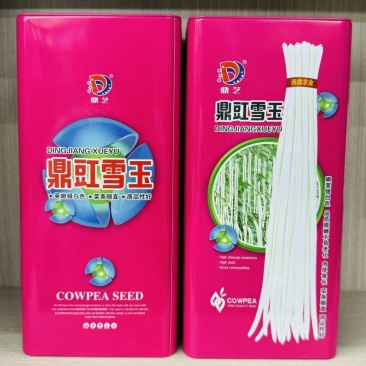 鼎豇雪玉白豆角种子高产特长白豇豆种子豆角种籽厚肉白条高产