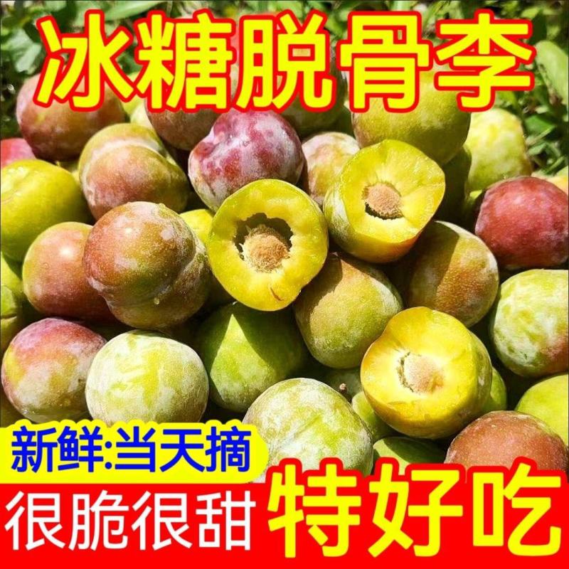 【一件代发】四川半边红茵红李脱骨李大量上市支持电商代发