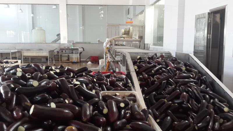 茄子干精品一手货源诚信经营可电联详谈