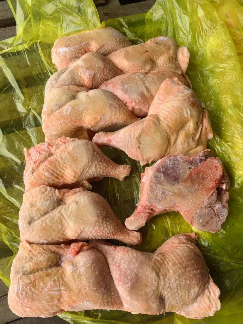 种鸡排腿一级二级长期有货手续齐全可以视频看货