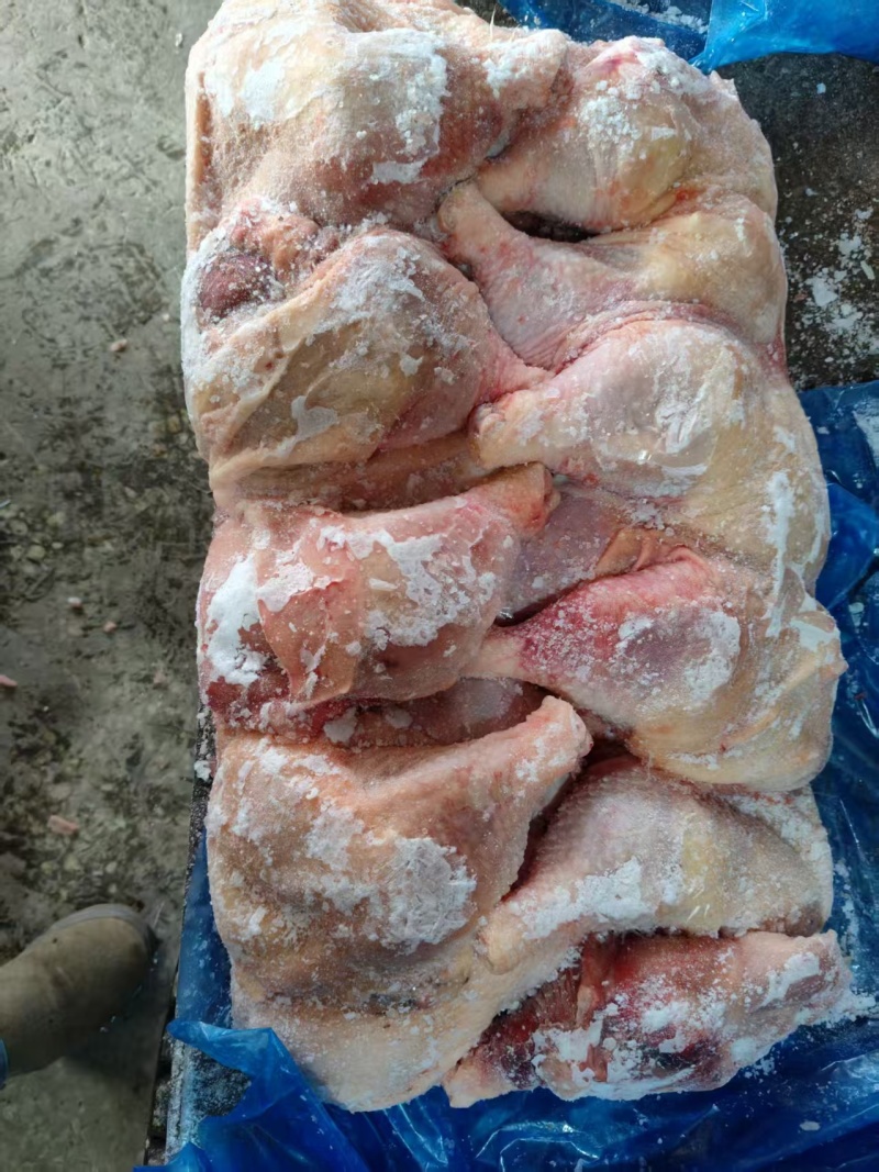 种鸡排腿一级二级长期有货手续齐全可以视频看货