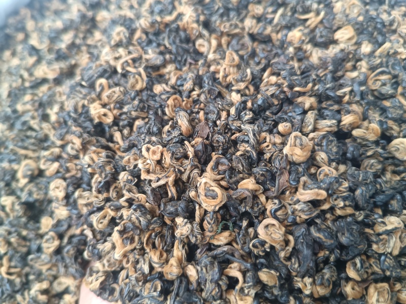 滇红红螺，云南普洱单芽产地直供，货源充足