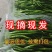 大棚线椒代收