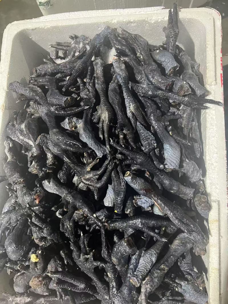 鲜冻长乌鸡脚黑鸡脚每月固定有量