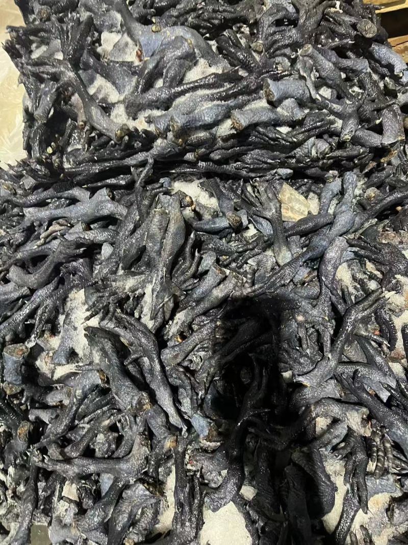 鲜冻长乌鸡脚黑鸡脚每月固定有量