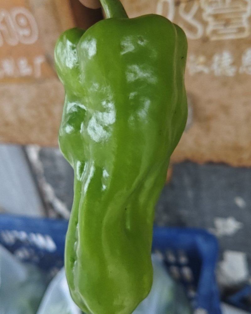 辣椒