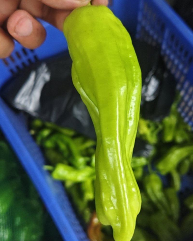 辣椒