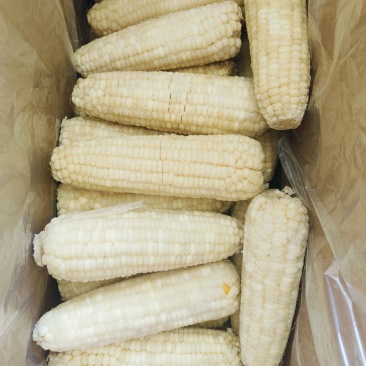 处理批500多箱万糯一等2000/40一箱