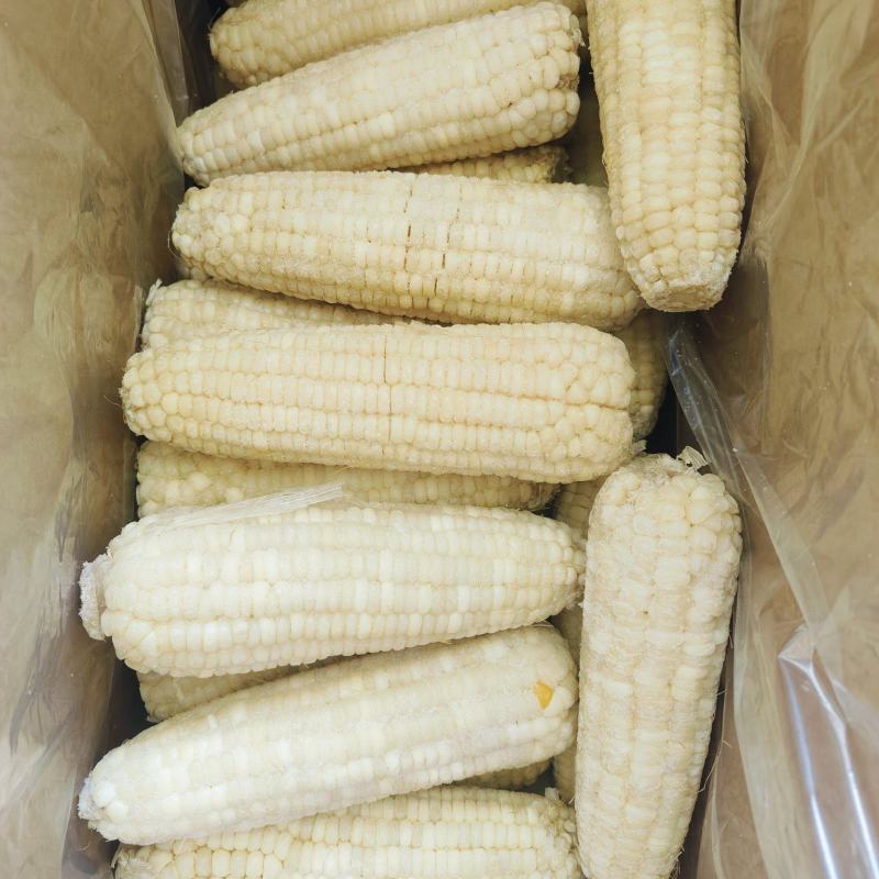 处理批500多箱万糯一等2000/40一箱