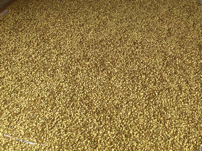 新疆阿勒泰甘草片，一手货源货量充足，视频看货对接全国
