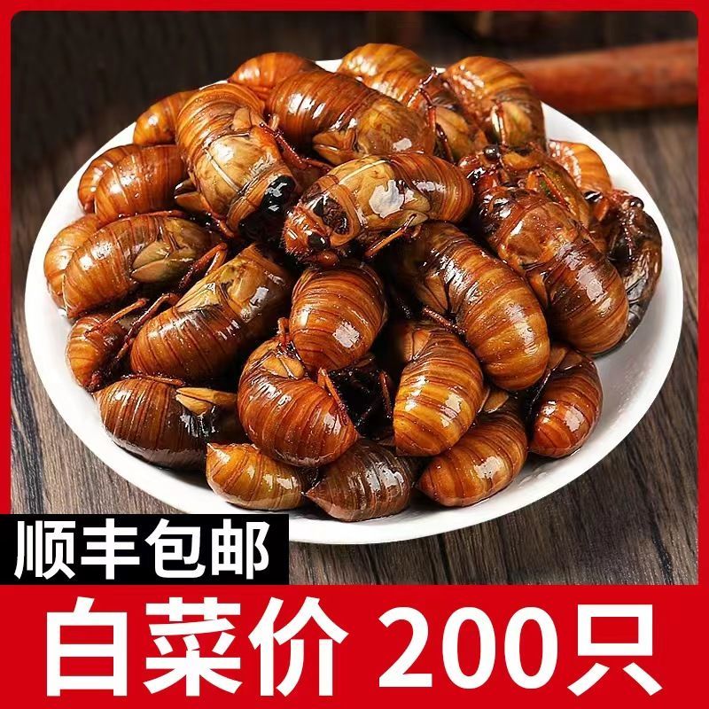 金蝉一件代发日供万单
