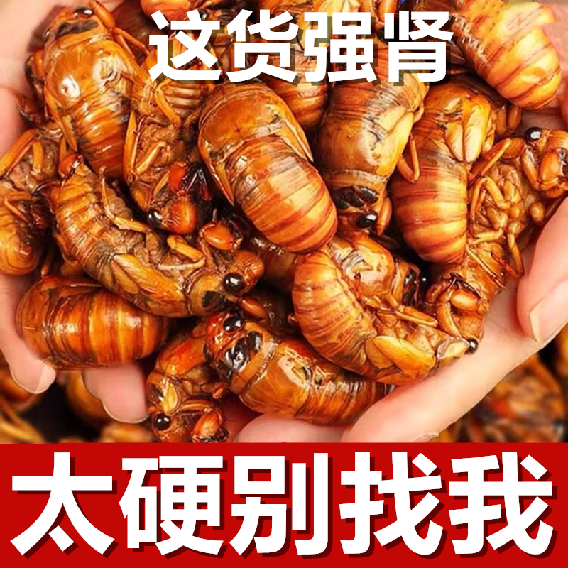 金蝉一件代发日供万单