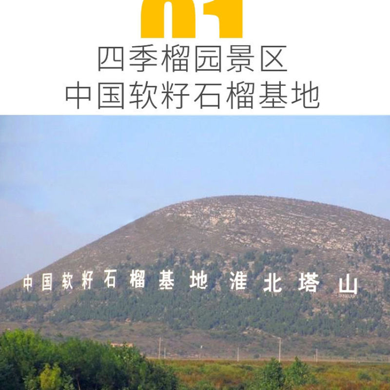 金榴园石榴汁鲜榨果汁饮料100%天然***石榴汁310ml1