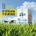 认养养牛吧纯牛奶200ml*10盒儿童成人营养早