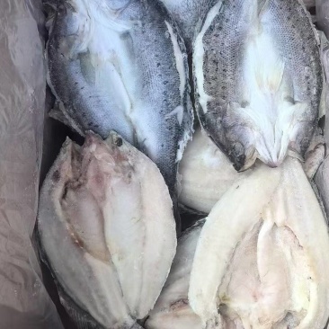 鲈鱼！开背鲈鱼，纯干无水分。散装独立包装都有货