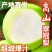 河北翠冠梨,精品翠冠梨,保质保量,坏果包赔欢迎质询